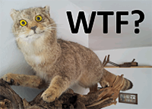 0215_WTF/image1.png