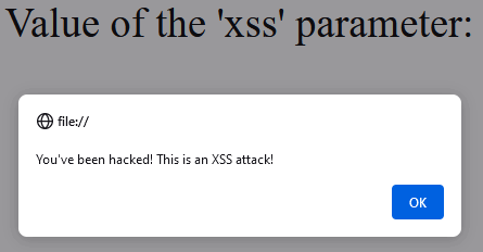   XSS -  FineProxy